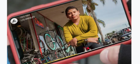 {{brizy_dc_image_alt entityId=